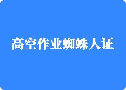 美女吊鸡在线播放高空作业蜘蛛人证